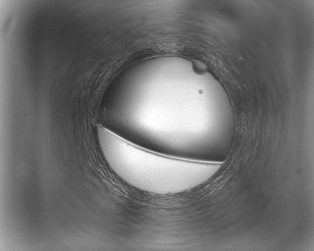 X0000070361201200606090751
