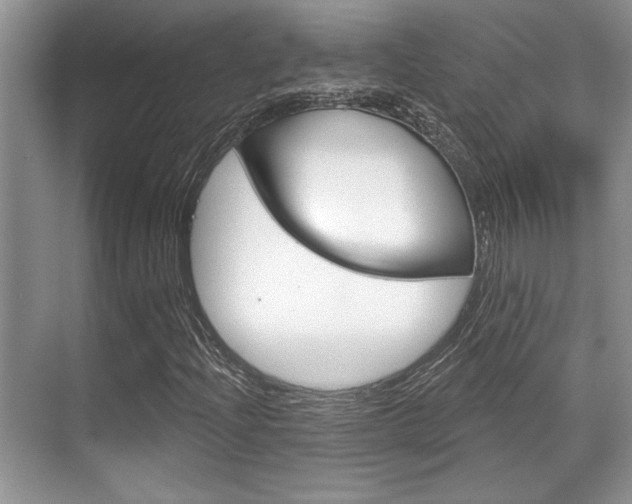X0000070361204200606090751