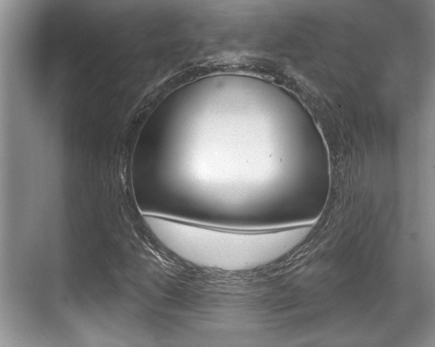 X0000070361206200606090751