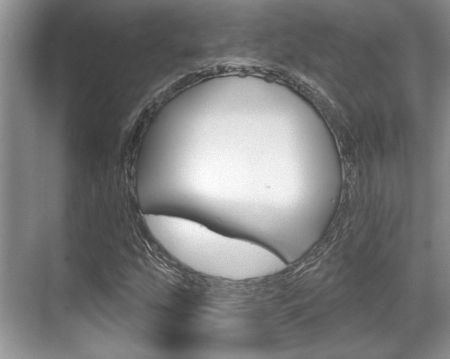 X0000070361207200606090751