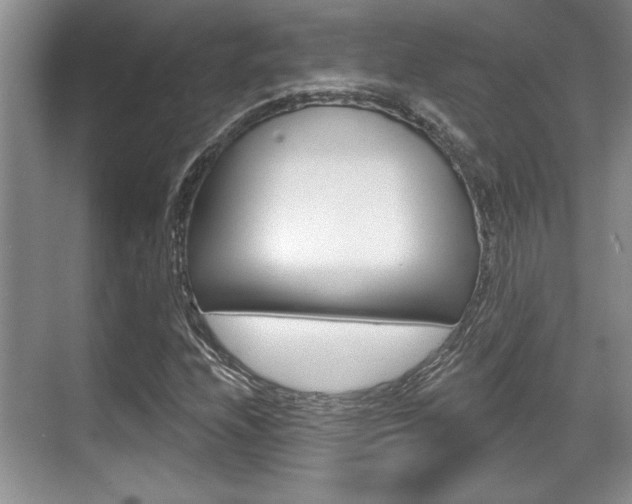 X0000070361208200606090751