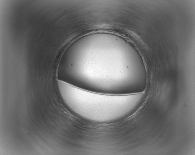 X0000070361209200606090751