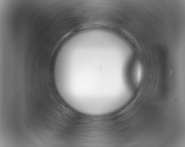 X0000070361210200606090751