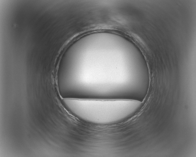 X0000070361212200606090751