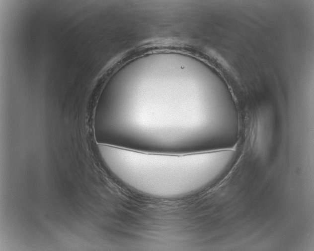 X0000070361213200606090751