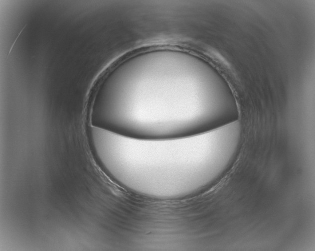X0000070361216200606090751