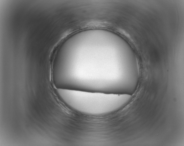 X0000070361219200606090751
