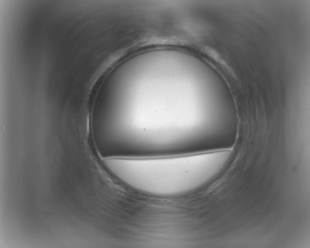 X0000070361221200606090751
