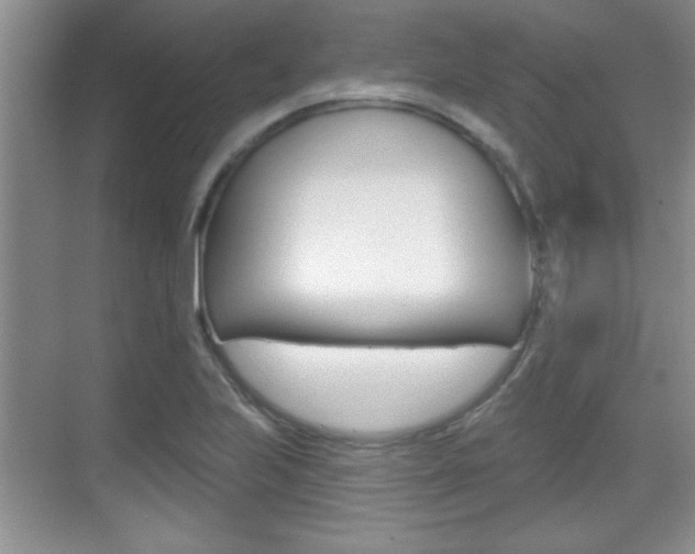X0000070361223200606090751