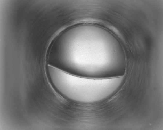 X0000070361229200606090751