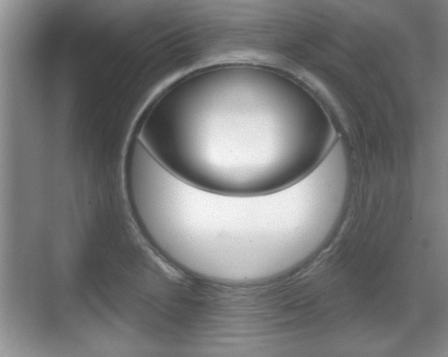 X0000070361230200606090751