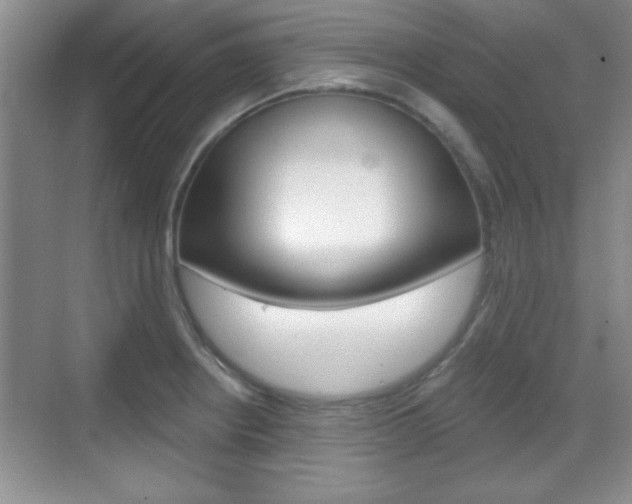 X0000070361234200606090751