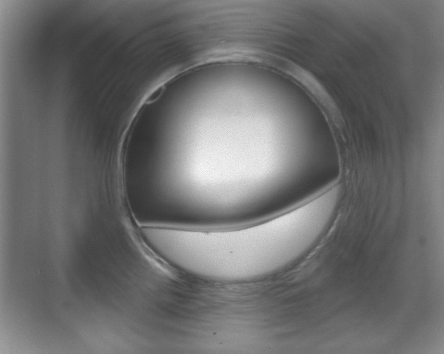 X0000070361242200606090751