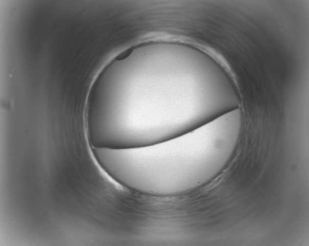 X0000070361247200606090752