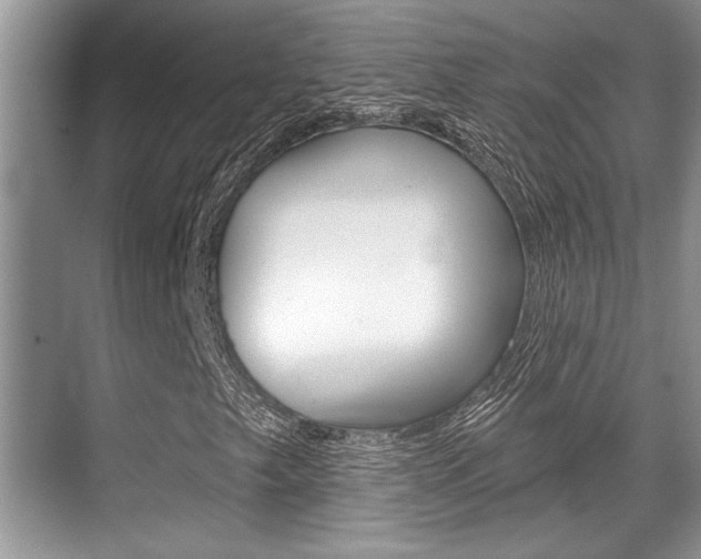 X0000070361249200606090751