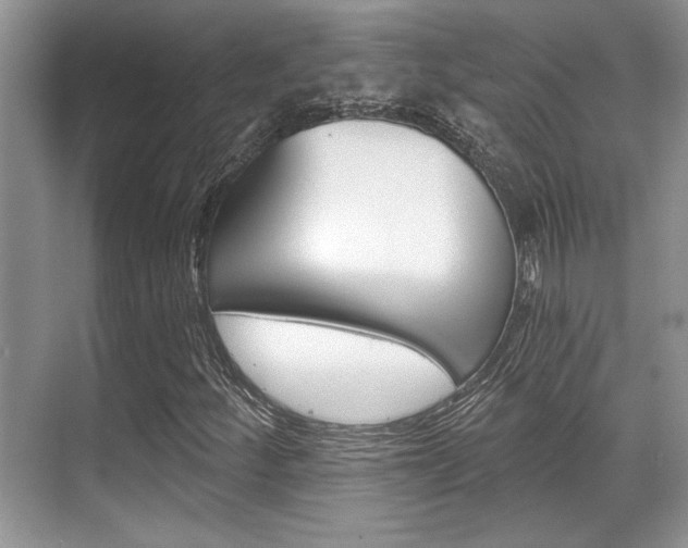 X0000070361252200606090751