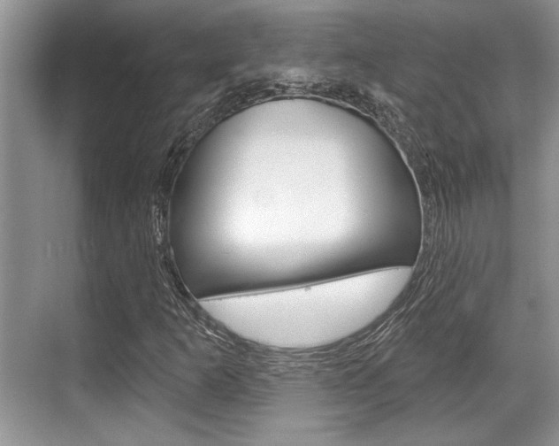 X0000070361253200606090751