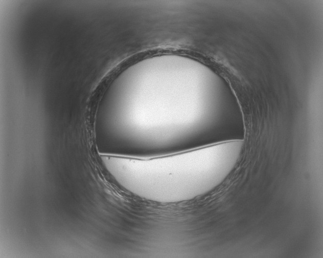 X0000070361256200606090751