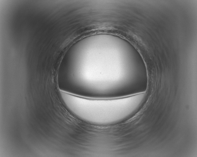 X0000070361257200606090751