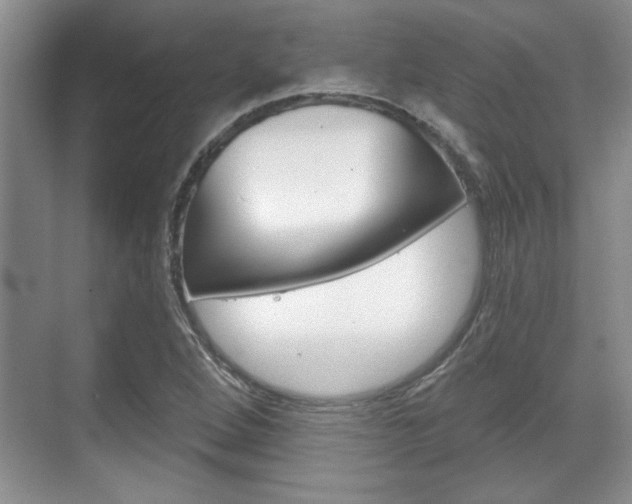 X0000070361264200606090751