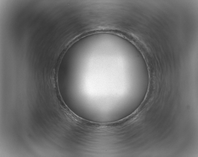 X0000070361265200606090751