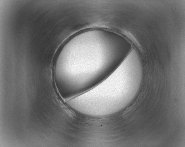 X0000070361268200606090750