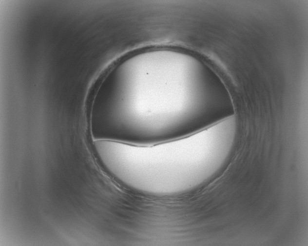 X0000070361270200606090750