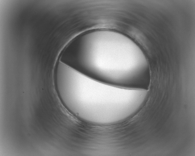 X0000070361276200606090750