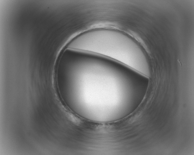 X0000070361277200606090750