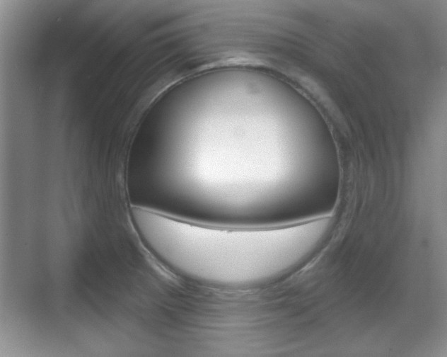 X0000070361281200606090750