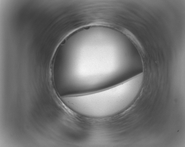 X0000070361292200606090750