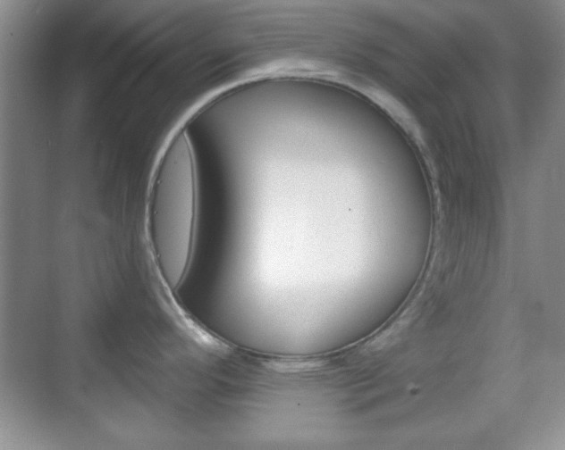 X0000070361296200606090750