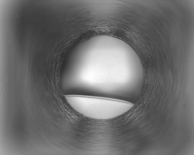 X0000070361297200606090749