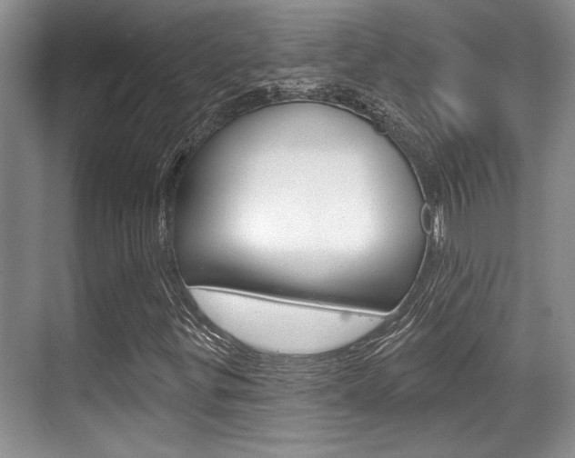 X0000070361299200606090749