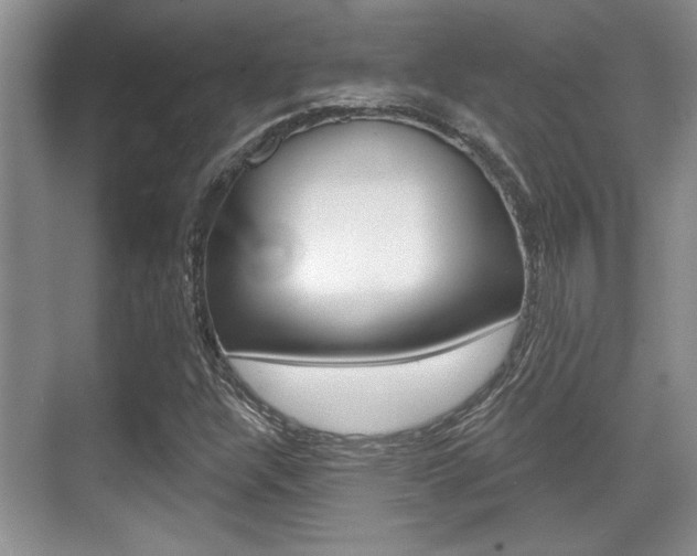 X0000070361304200606090749