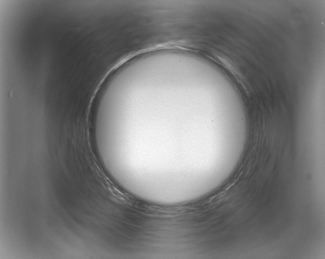 X0000070361308200606090749