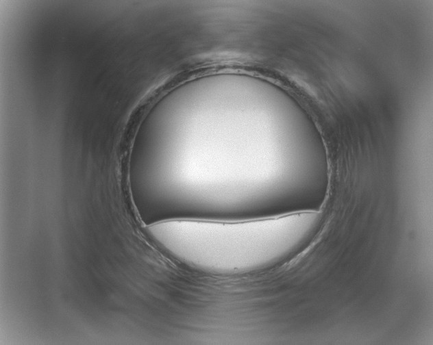 X0000070361309200606090749