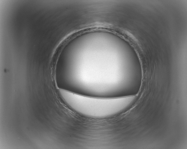 X0000070361310200606090749