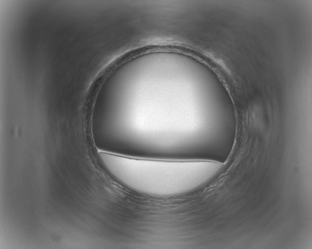 X0000070361311200606090749