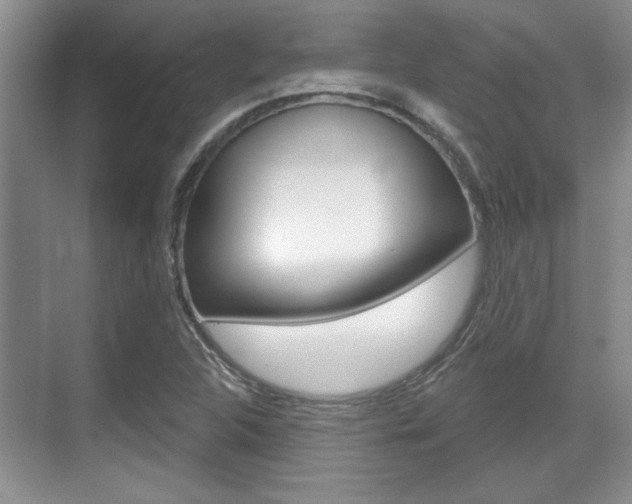 X0000070361312200606090749