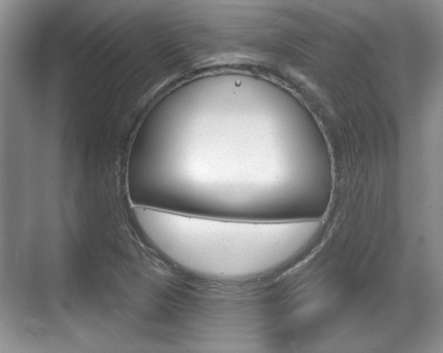 X0000070361313200606090749
