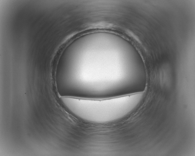 X0000070361315200606090749