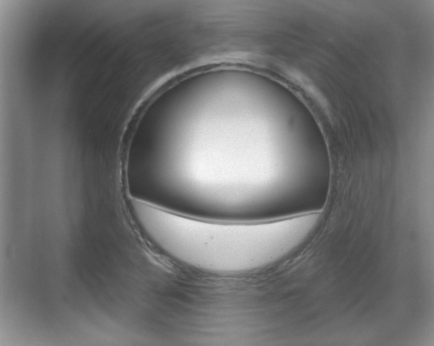 X0000070361316200606090750