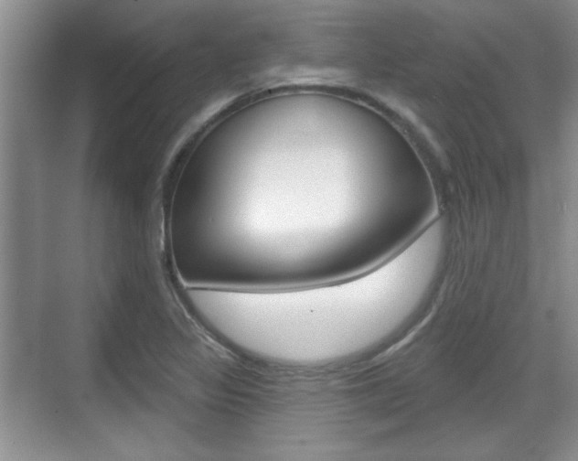 X0000070361317200606090750