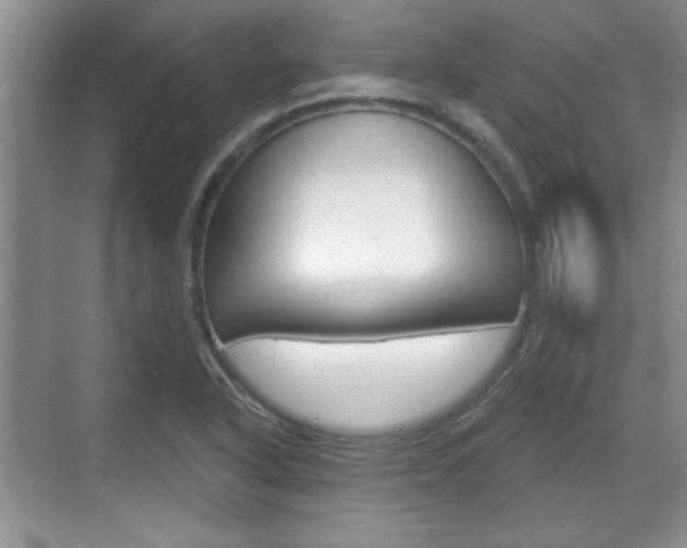 X0000070361318200606090750