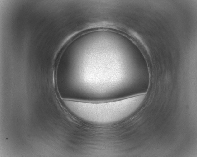 X0000070361320200606090750