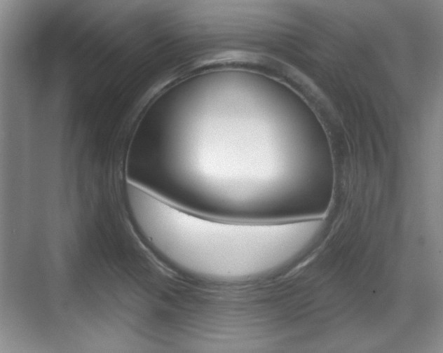 X0000070361321200606090750