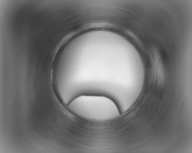 X0000070361322200606090750