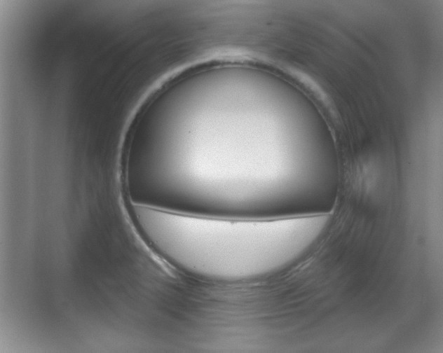 X0000070361327200606090750