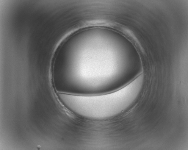 X0000070361328200606090750
